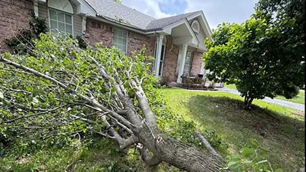 After the Storm, the Bill: Ellisville, Central West End Homeowners Dispute OLI Outdoor Services Tree Removal Charges