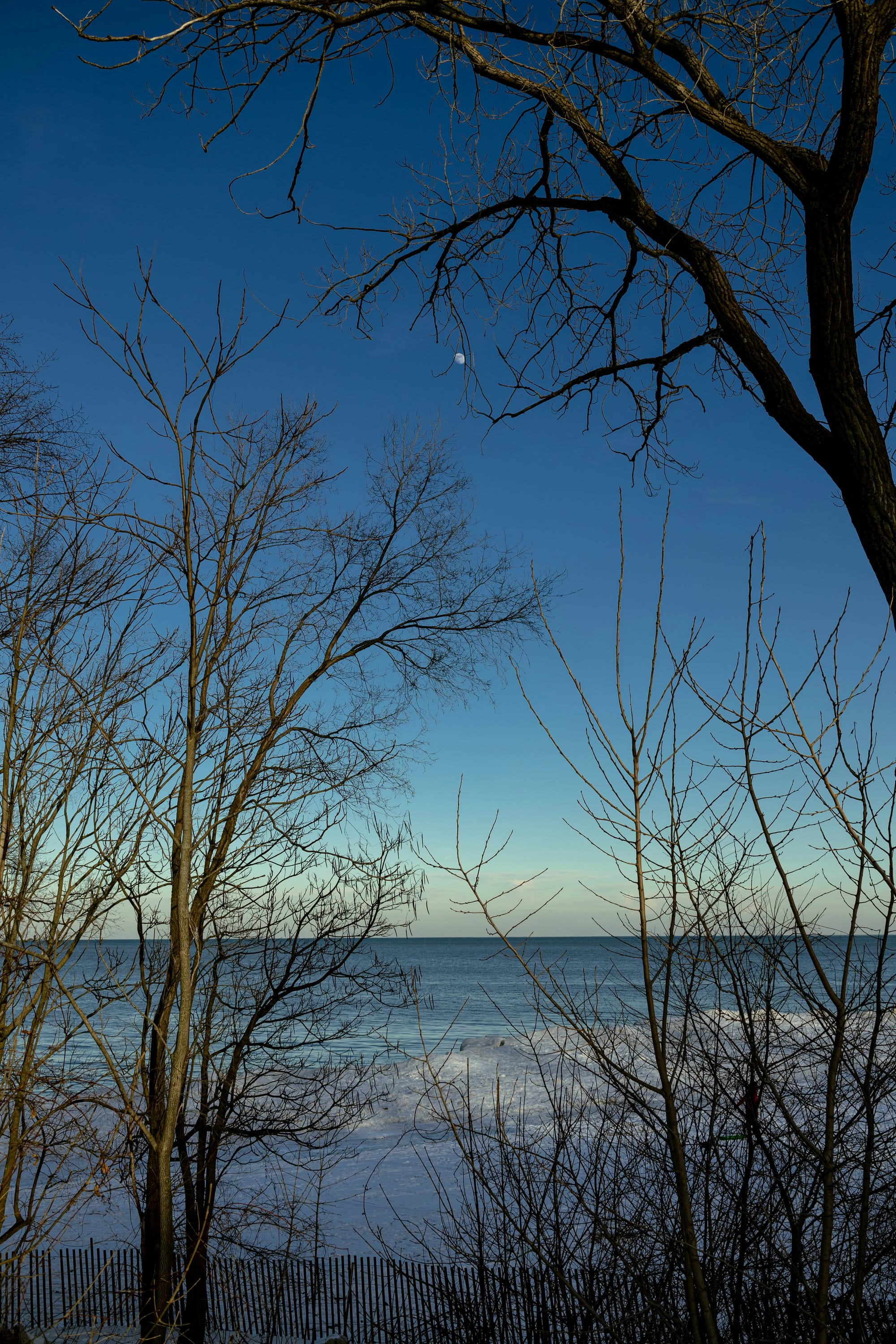 Park Junior High Students Polar Plunge — and Raise Nearly $25,000 for Special Olympics Illinois